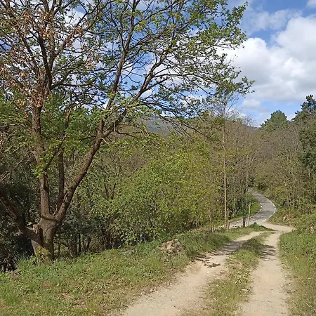 Appartement Instant De Tranquillité En Cévennes *