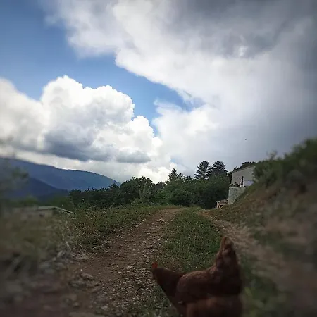 Lägenhet Instant De Tranquillite En Cevennes Aujac (Gard)