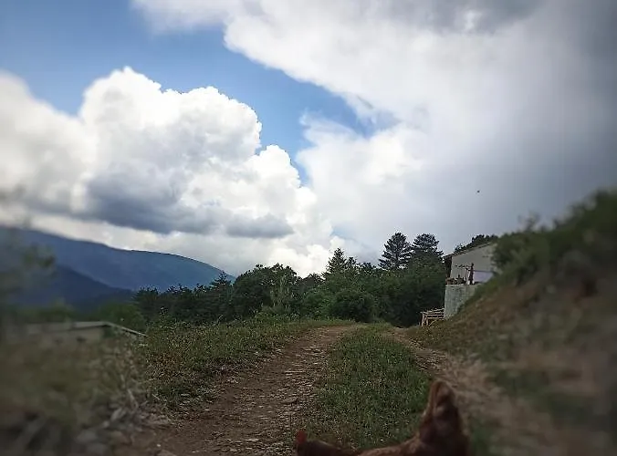 Апартаменты Instant De Tranquillite En Cevennes Aujac (Gard)