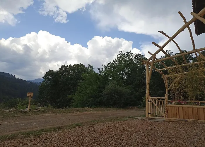 Instant De Tranquillite En Cevennes